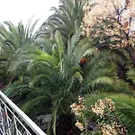 Parnassos