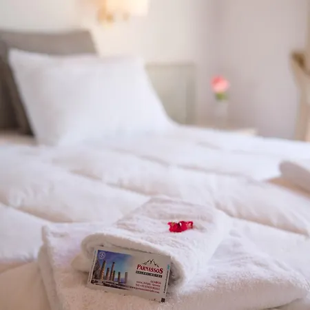 Parnassos Hotel Delphi